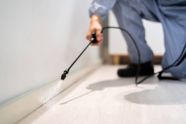 Licensed Fumigation Services service in Kingman County County, KS - Nex Pest Control
